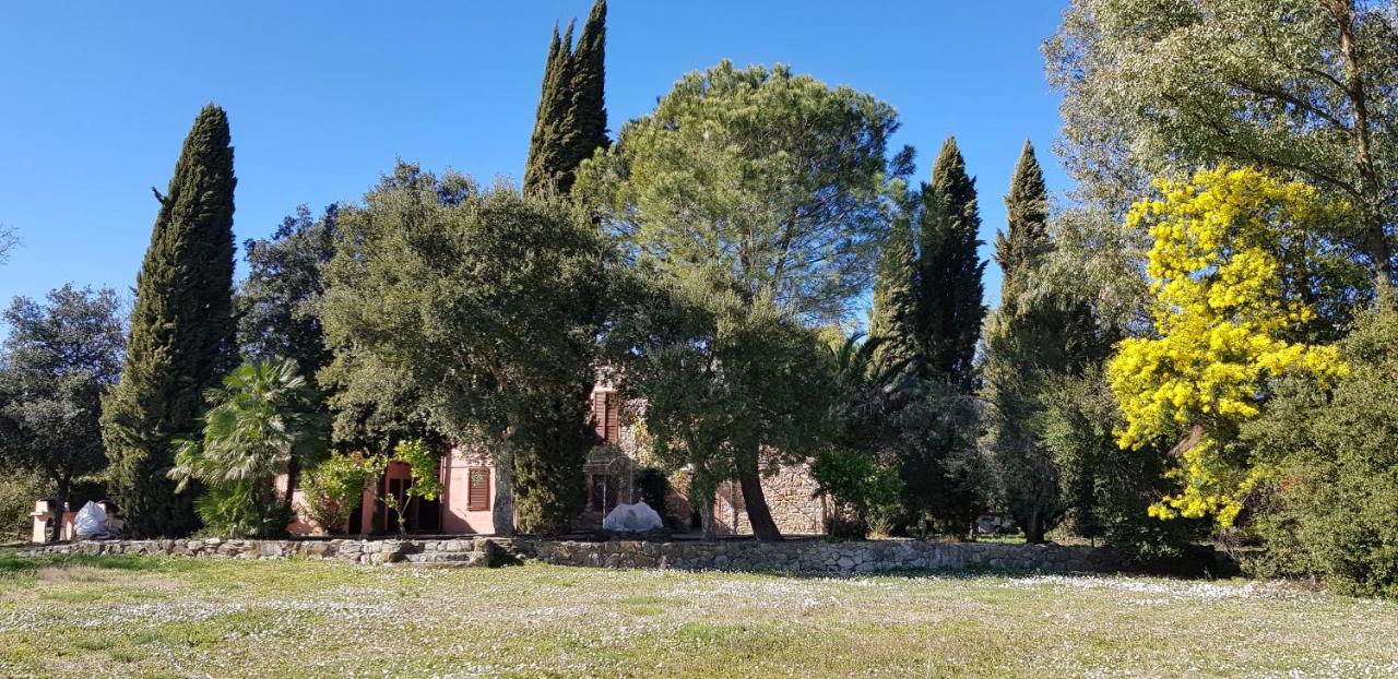 Podere La Fornace Ravi Dış mekan fotoğraf